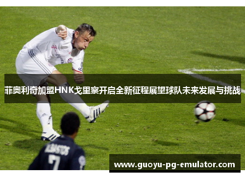 菲奥利奇加盟HNK戈里察开启全新征程展望球队未来发展与挑战