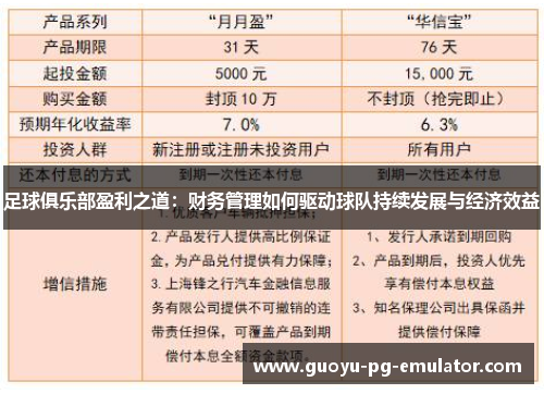 足球俱乐部盈利之道:财务管理如何驱动球队持续发展与经济效益 足球俱乐部盈利之道:财务管理如何驱动球队持续发展与经济效益