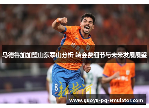 马德鲁加加盟山东泰山分析 转会费细节与未来发展展望 马德鲁加加盟山东泰山分析 转会费细节与未来发展展望