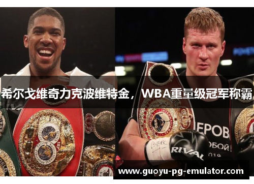 希尔戈维奇力克波维特金，WBA重量级冠军称霸