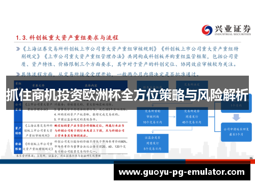 抓住商机投资欧洲杯全方位策略与风险解析 抓住商机投资欧洲杯全方位策略与风险解析