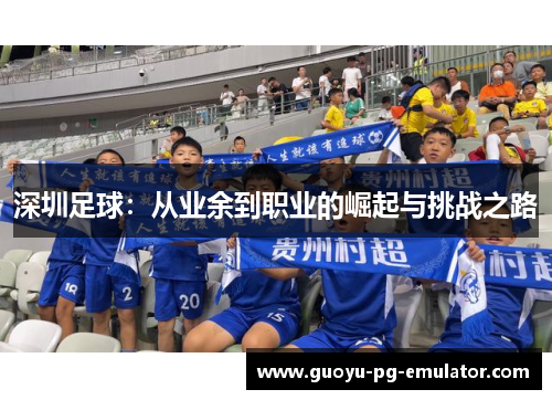 深圳足球：从业余到职业的崛起与挑战之路