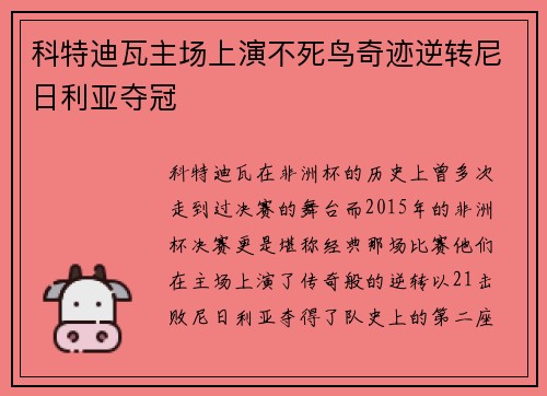 科特迪瓦主场上演不死鸟奇迹逆转尼日利亚夺冠